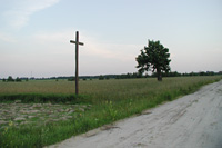 Die Jagiellonenstraße (Szlak Jagielloński) 