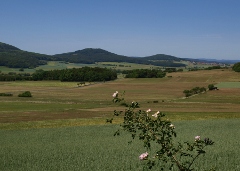 Blick auf das Hessische Kegelspiel