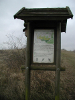 Das Naturschutzgebiet „Weinberg“ beheimatet mitlerweile eine einzigartige Flora.