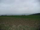 Die ausgedehnten Kalkmagerrasen werden von Landwirten im Rahmen des Vertragsnaturschutzes offen gehalten.