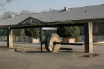 Im ehemaligen Festungshof der Cyriaksburg befindet sich heute eine Waidmühle als Exponat des Deutschen Gartenbaumuseums. Mit solchen Mühlen wurde das nach der Ernte gewaschene und anschließend bei der Trocknung angewelkte Färberwaid zu Waidmus zerquetscht. Dieses wurde zu faustgroßen Waidballen geformt, getrocknet und an die Waidhändler verkauft, worauf es dann durch Gärung zum Farbstoff Indigo weiterverarbeitet wurde.