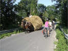 Auf dem „Klischee-Bild“ eine Begegnung von nachhaltigen und langsamen Verkehrsteilnehmern in Kleinpolen in der Nähe von Szczurowa. Bild: Quelle Unbekannt
