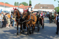 Pferdemarkt 2010