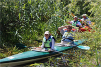 Polesische Regatta