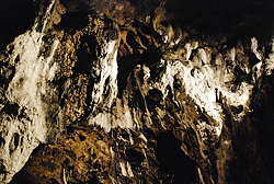Lokietek-Höhle 