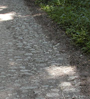 Altes Straßenpflaster nordwestlich der Mosbacher Linde