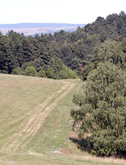 Wegeverlauf zum Rothenhof