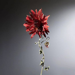 Portrait einer verwelkenden Blume von Vladimir Pekov: „Portrait Tom Waits“