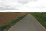 Blick entlang der Hohen Straße