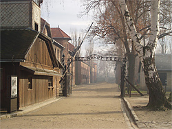 Staatliches Museum Auschwitz