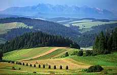 Małopolskie, im Hintergrund die Tatra